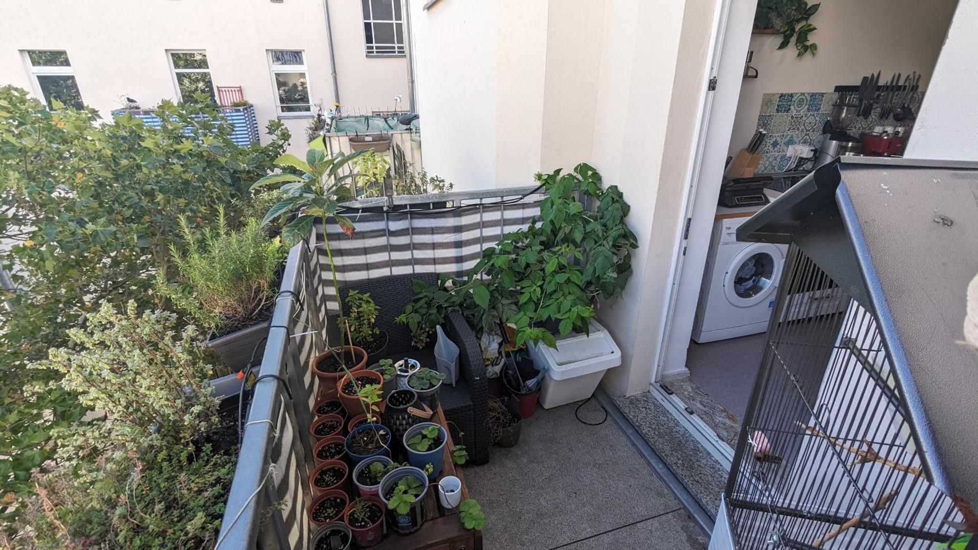 Cosy Flat In Berlin'S Trendy Area 아파트 외부 사진