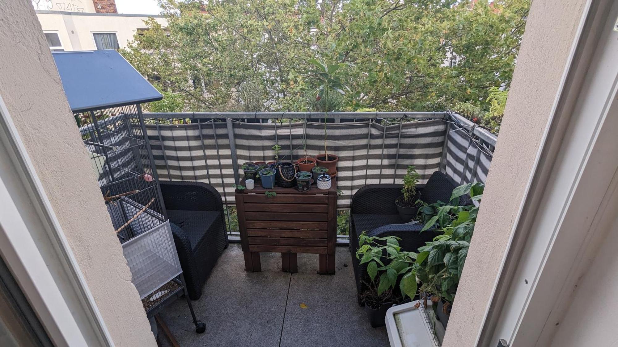 Cosy Flat In Berlin'S Trendy Area 아파트 외부 사진